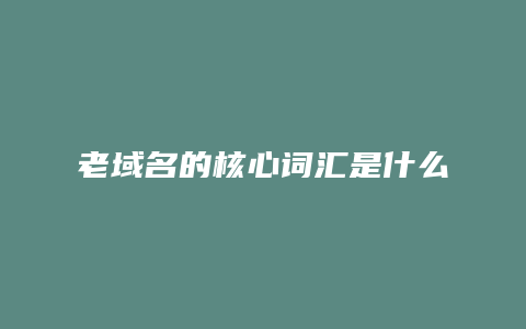 老域名的核心词汇是什么