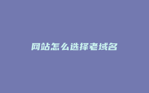 网站怎么选择老域名