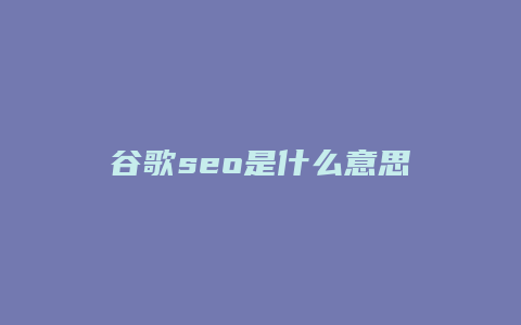 谷歌seo是什么意思