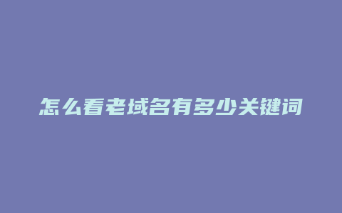 怎么看老域名有多少关键词