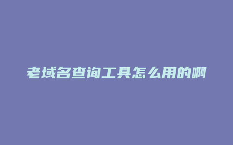 老域名查询工具怎么用的啊