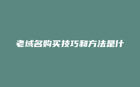 老域名购买技巧和方法是什么