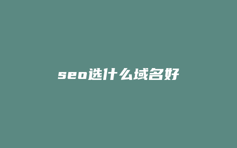 seo选什么域名好