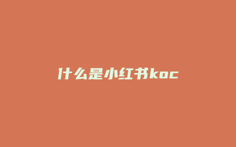 什么是小红书koc