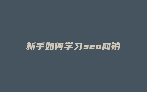 新手如何学习seo网销