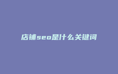 店铺seo是什么关键词