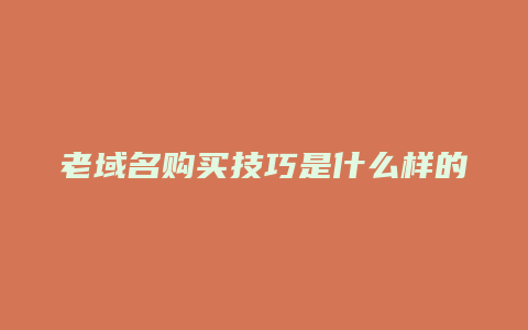 老域名购买技巧是什么样的