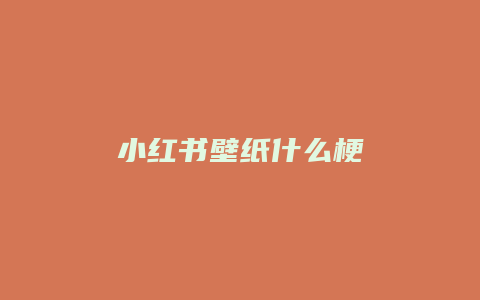 小红书壁纸什么梗