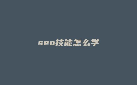 seo技能怎么学