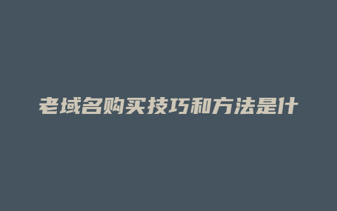 老域名购买技巧和方法是什么样的