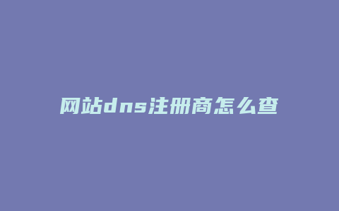 网站dns注册商怎么查