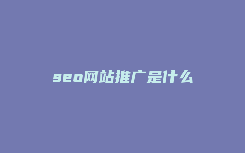 seo网站推广是什么