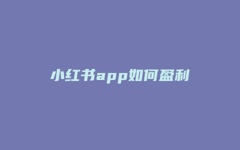 小红书app如何盈利