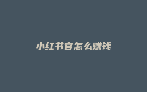 小红书官怎么赚钱