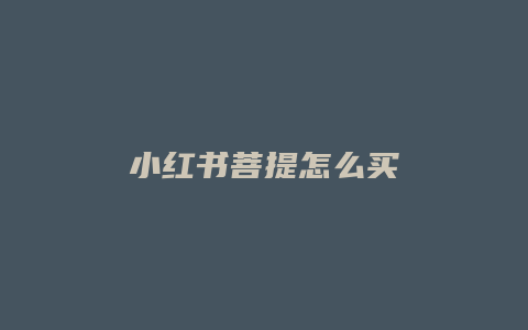 小红书菩提怎么买