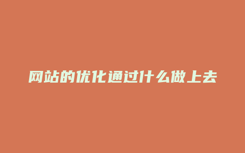 网站的优化通过什么做上去