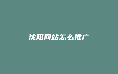 沈阳网站怎么推广