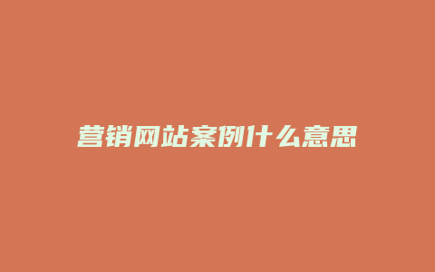 营销网站案例什么意思