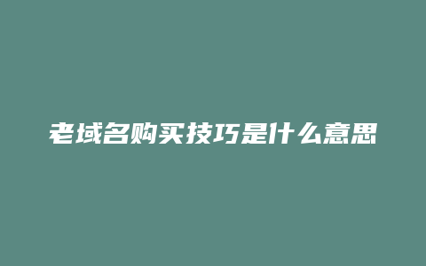 老域名购买技巧是什么意思