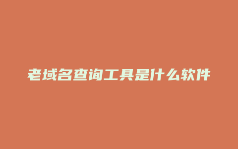 老域名查询工具是什么软件啊