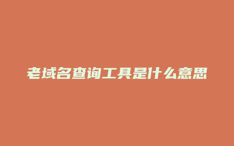 老域名查询工具是什么意思啊