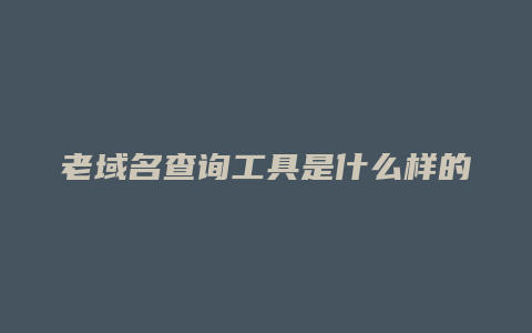 老域名查询工具是什么样的软件