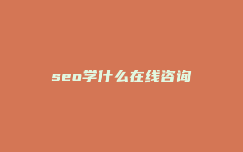 seo学什么在线咨询