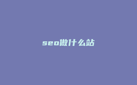 seo做什么站