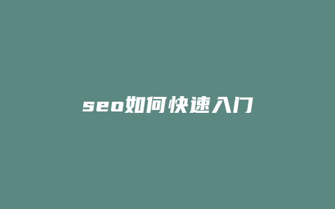 seo如何快速入门